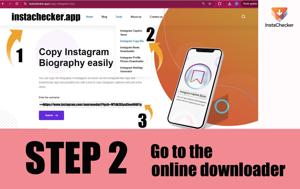 Step 2 paste Instagram profile link or username into Instachecker