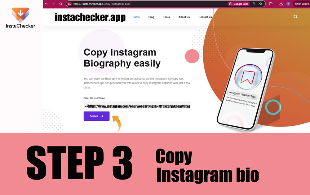 Step 3 copy Instagram bio text from Instachecker