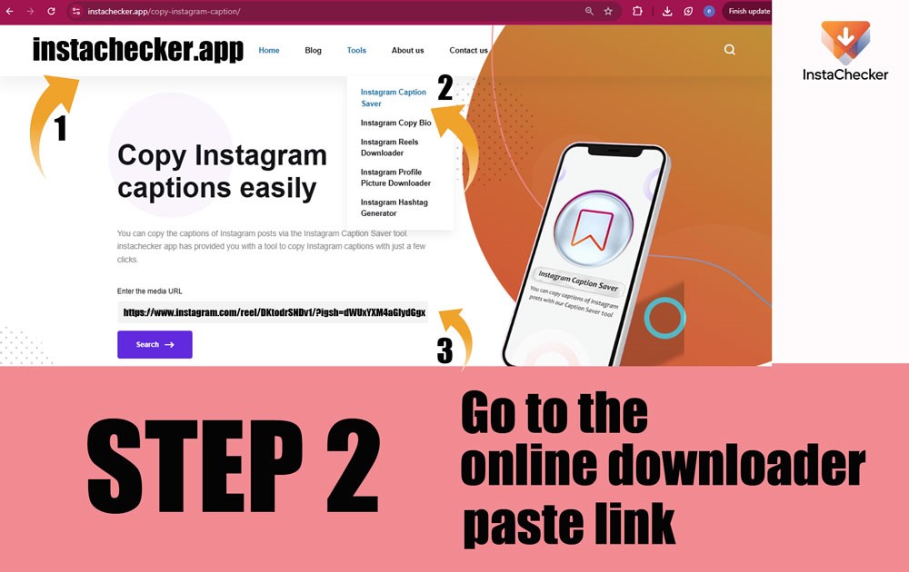 Paste the Instagram link into Instachecker caption copier