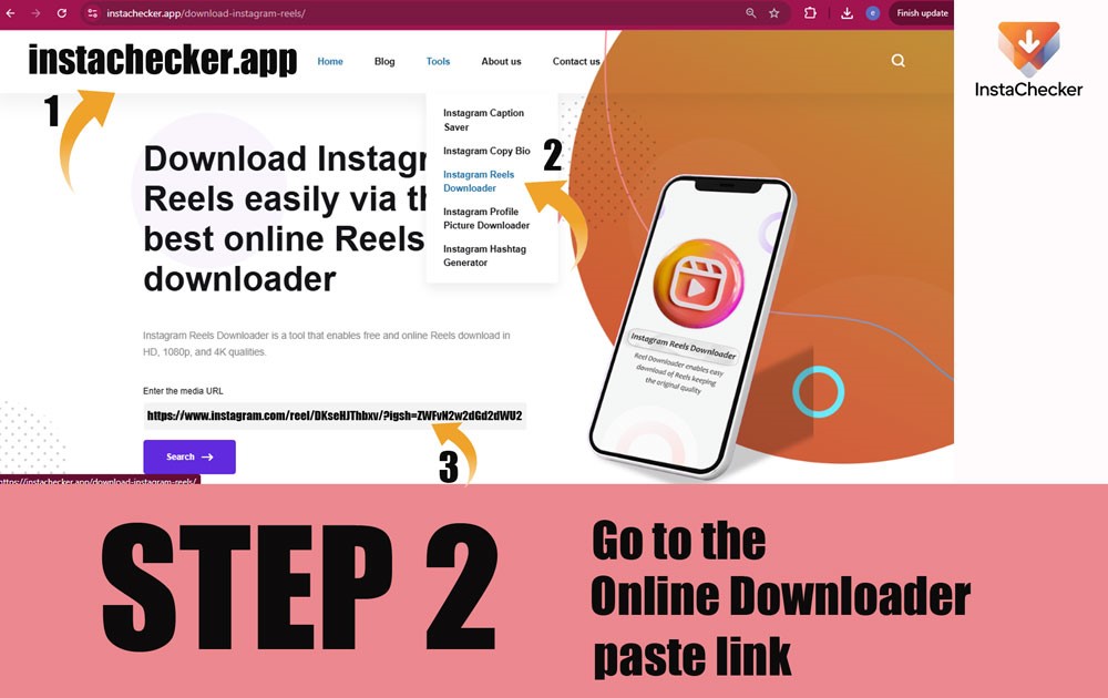 Step 2 paste Instagram Reel link into Instachecker search box