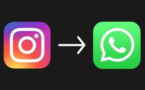 Instagram Video for WhatsApp