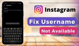Instagram-inactive-accounts